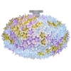 Image de KARTELL lampe murale applique BLOOM NEW (Lavande Ø 53 cm - Technopolymère thermoplastique transparent)
