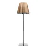 Image de FLOS lampadaire KTRIBE F3 (Aluminate bronze - Zamak / Aluminium)