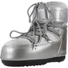 Image de Chaussure Moon Boot Modèle Mb Icon Low Glanc - Coleur Gris