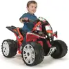 Image de Injusa Quad The Beast 12v