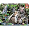 Image de Puzzle Animaux - EDUCA - 1000 pièces - Blancs du Bengale