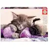Image de Educa Puzzle 500 Compagnons De Reves