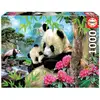 Image de Puzzle 1000 pcs - les pandas 17995
