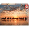 Image de Educa - Puzzle - 1000 Crépuscule Doré A Cable Beach, Australie