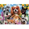 Image de Puzzle 200 pièces : Selfie danimaux