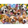 Image de Puzzle Educa Doggy Selfie 1000 Pièces
