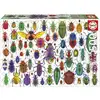 Image de Puzzle - Educa - Scarabées - 500 Pieces