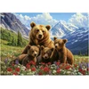 Image de Educa Puzzle Ours Grizzlis Canada 1000 Pièces Puzzle Adultes