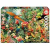 Image de Puzzle 2000 pièces Educa Oiseaux d'Amazonie 96 x 68 cm