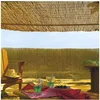 Image de Tiges de roseaux naturels Reedcane - Dimensions : 1 x 5 m