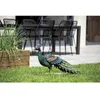 Image de Paon décoratif stylisé Peacky en métal - 94 x 28 x 2 cm