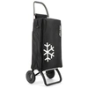 Image de Poussette De Marché 2 Roues 40l Rolser Igl003 Negro