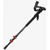 Image de Bâtons Altus Acebo H30 noir (paire)