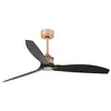 Image de Faro 33418 Ventilateur Noir