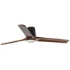 Image de HEYWOOD TUB L Ventilateur de plafond noir avec lumière 33839-1TW
