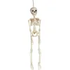 Image de Squelette Articulé 45 cm RUBIES
