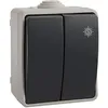 Image de Interrupteur - SOLERA - 3313 - Double Va et Vient - 10A - 250V - IP54 Certifié VDE NF