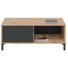 Image de CALICOSY - Table basse avec 2 niches de rangement Brooklyn - L100 cm - Chêne artisan / gris