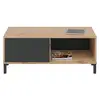Image de Table basse avec 2 niches de rangement brooklyn - l100 cm 0Z1641W
