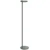 Image de FLOS lampadaire OBLIQUE (2700K, vert sauge poli - Aluminium et méthacrylate)
