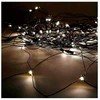 Image de Guirlande Lumineuse Led Edm Blanc 1,6 W (2 X 1,5 M)
