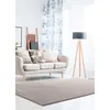 Image de Tapis ATTICGO uni 200 x 290 cm LOFT LISO pierre