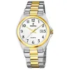 Image de Festina montre Homme F20554/1