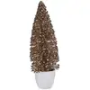 Image de Sapin De Noël Moyen 10 X 33 X 10 Cm Menthe Plastique Champagne