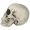 Image de CRNE HUMAIN DÉCO POLYSTYRÈNE 22CM BEIGE