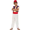 Image de Déguisement - Aladdin du Désert - Garçon - Taille 5 ans - Multicolore