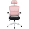 Image de Woxter Chaise Gaming GM26-109