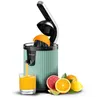 Image de Cecotec Presse-agrumes électrique à bras pour oranges et agrumes Xqueeze RetroJuice 600 Green. 600W Style rétro filtre en