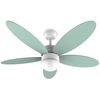 Image de Cecotec 05878 Ventilateur Vert, Blanc