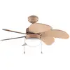 Image de Cecotec - Ventilateur De Plafond Avec Lumière Energysilence Aero 3600 Vision Full Orange - 50 W, Diamètre 91 Cm