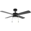 Image de Cecotec - Ventilateur de Plafond avec Lumière EnergySilence Aero 450 FullBlack - 50 W Diamètre 106 cm Lampe Intégrée