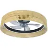 Image de Ventilateur Plafonnier Cecotec Moderne Éclairage Led 6 Vitesses