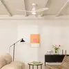 Image de Wind Stylance Natural Wood - Ventilateur De Plafond 40w Silencieux 100% Bois Plusieurs Tailles