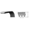 Image de Correa Sèche-linge Ariston/Indesit 1991H8 Elastique c. O.300793 - REPORSHOP