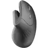 Image de Mars Gaming Mmw-ergopro Souris Droitier Rf Sans Fil Optique 3200 Dpi