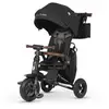Image de Tricycle ociotrends noir
