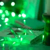 Image de Guirlande LED Extérieure à Piles 5m Vert