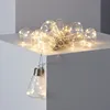Image de Guirlande dAmpoules LED Edison 2m 3000K Blanc chaud