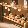 Image de Guirlande Lumineuse LED Bhala 1.6m 3000K Blanc chaud