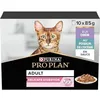 Image de PRO PLAN Pâtée pour chat adulte Digestion Délicate Dinde & Poisson - 10 x 85 g