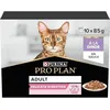Image de Pâtée - PRO PLAN - Adulte Delicate Digestion - Dinde en sauce - Oméga 3 & 6 - Lot 10x85g