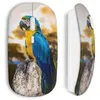 Image de Souris sans fil - Perroquet - Blanc - Compatible Mac et PC - Clé USB wifi incluse