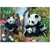 Image de Dino Puzzle - 1000 Pièces - Pandas - Puzzle Adulte Détente