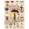Image de Dino Puzzle Mushroom Collage 1000 Pièces Puzzle Adultes