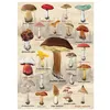 Image de Puzzle 1000 pièces - DINO - Collage champignons - Nature morte - Multicolore - Intérieur