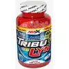 Image de Gélules Amix Tribulyn 40% (120 unités)